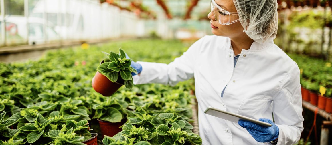 Agroalimentare, tirocini per i giovani.