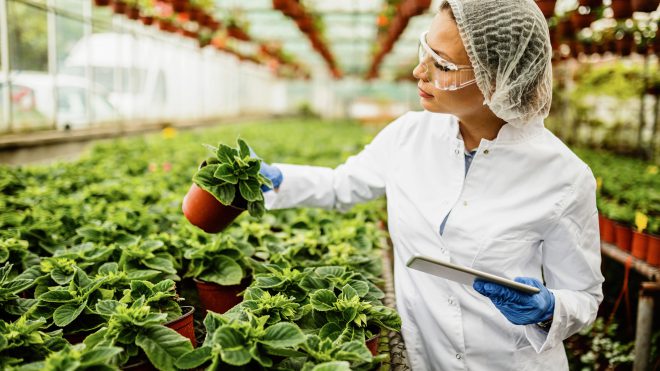 Agroalimentare, tirocini per i giovani.